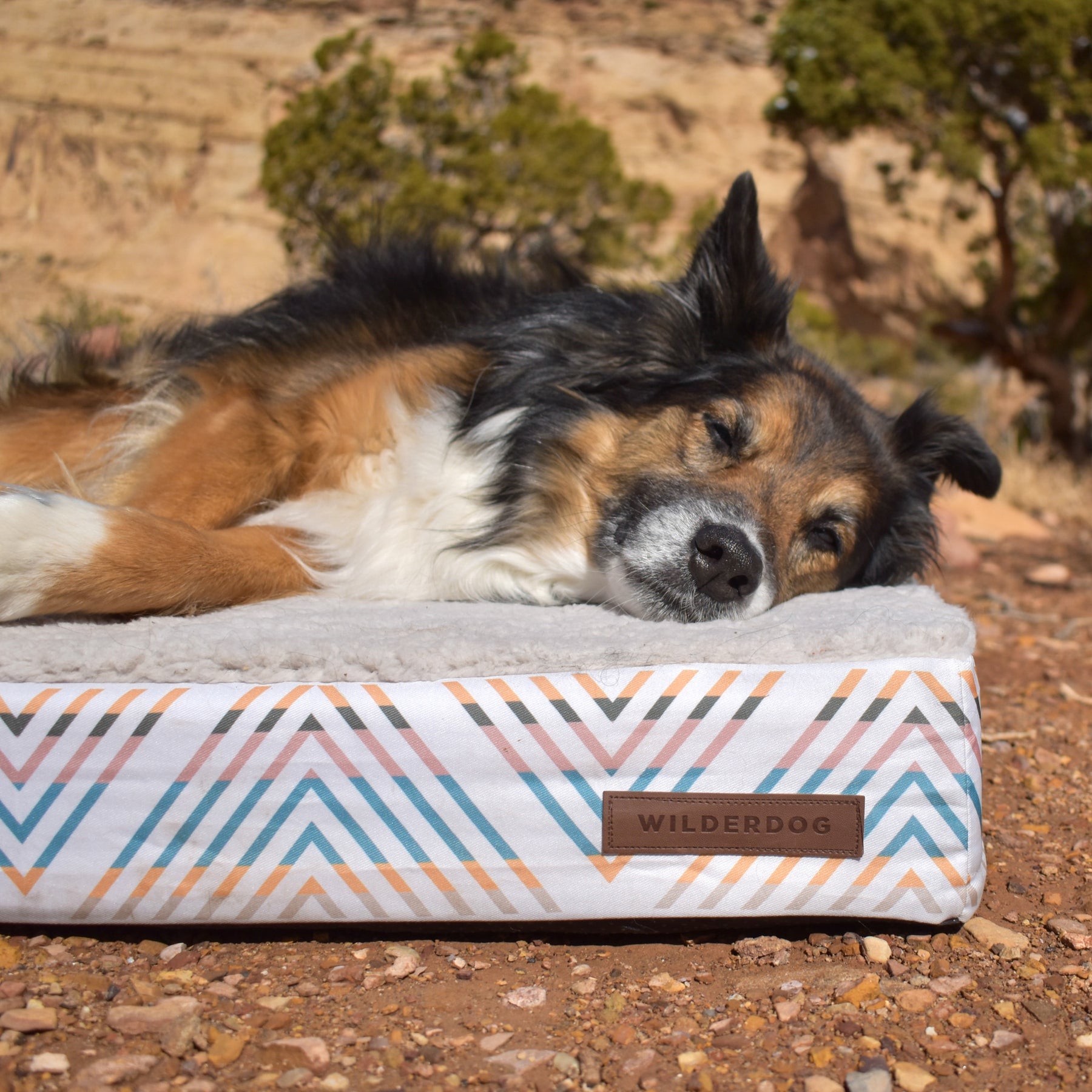 Memory Foam Dog Bed – Wilderdog