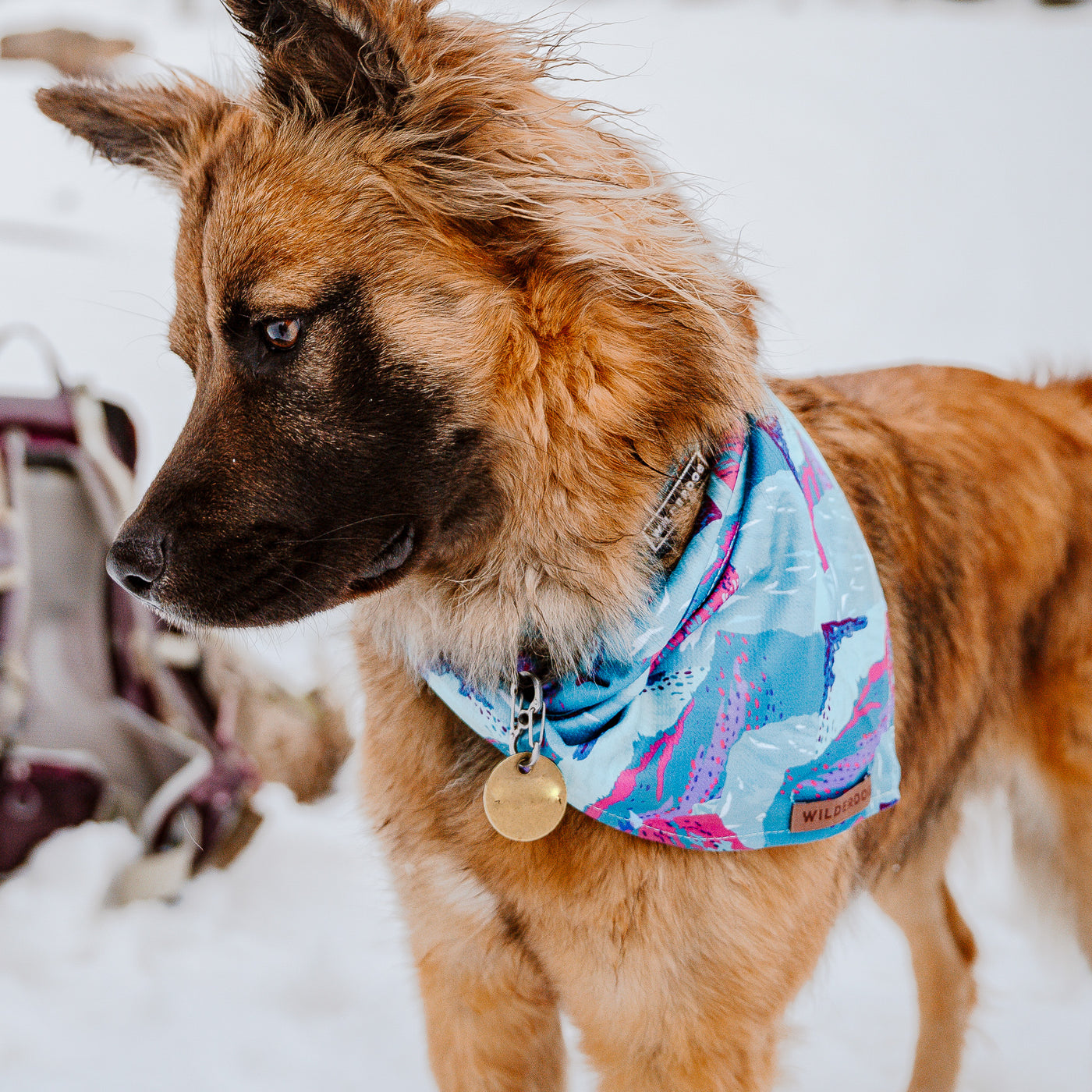  Wilderdog Dog Bandana with Lightweight Quick Drying