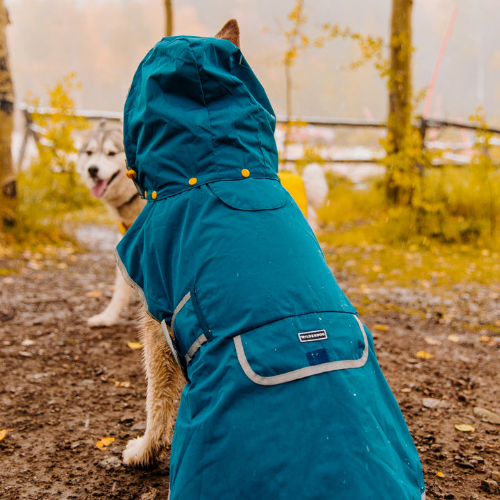 Dog Rain Jacket – Wilderdog