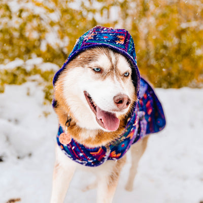 Big Sky Fleece Jacket