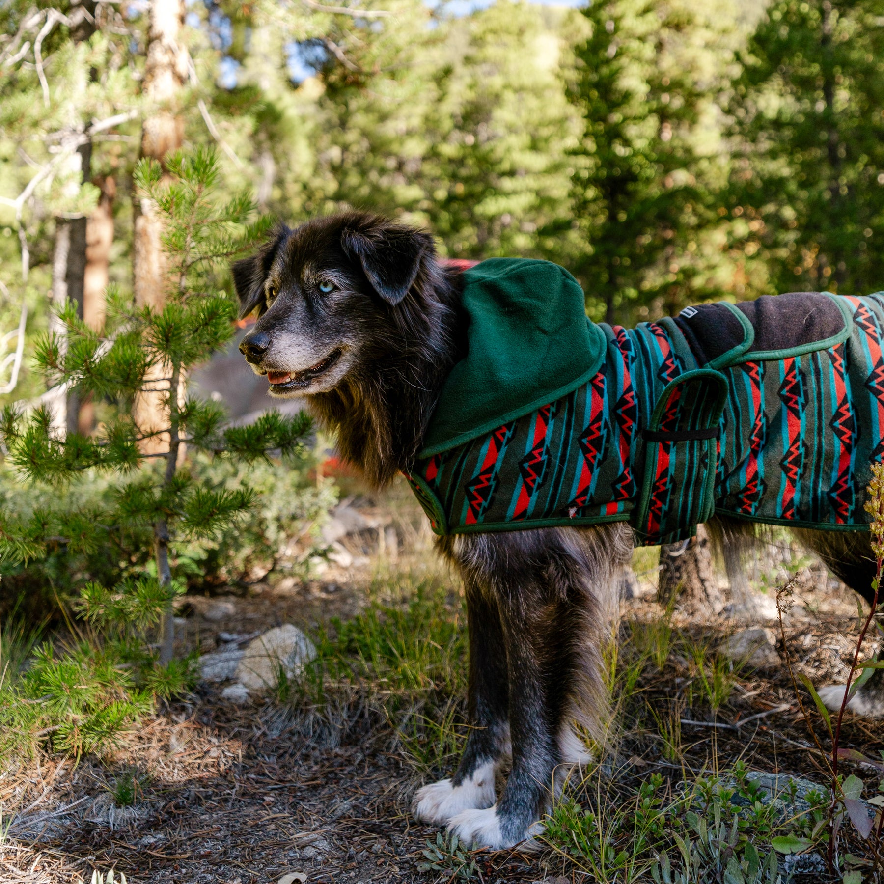 Olive Fleece Jacket Small