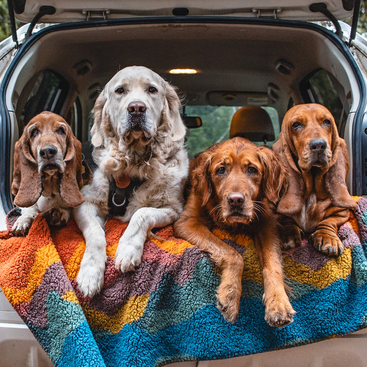 Sherpa Fleece Waterproof Blanket – Wilderdog