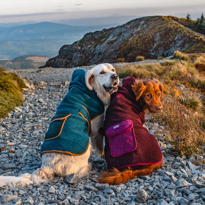 Sherpa Jacket