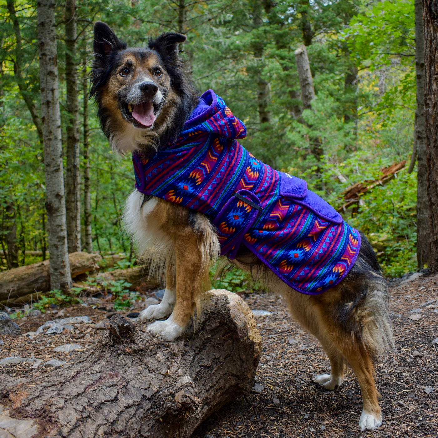 Big Sky Fleece Jacket