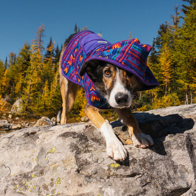 Big Sky Fleece Jacket