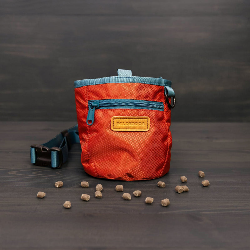 A compact, orange and blue Dog Training Treat Pouch with a zipper pocket sits on a dark wooden surface, surrounded by dog treats. A leash is partially visible to the left, emphasizing hands-free convenience.