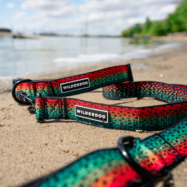 Ultralight Leashes + Collars