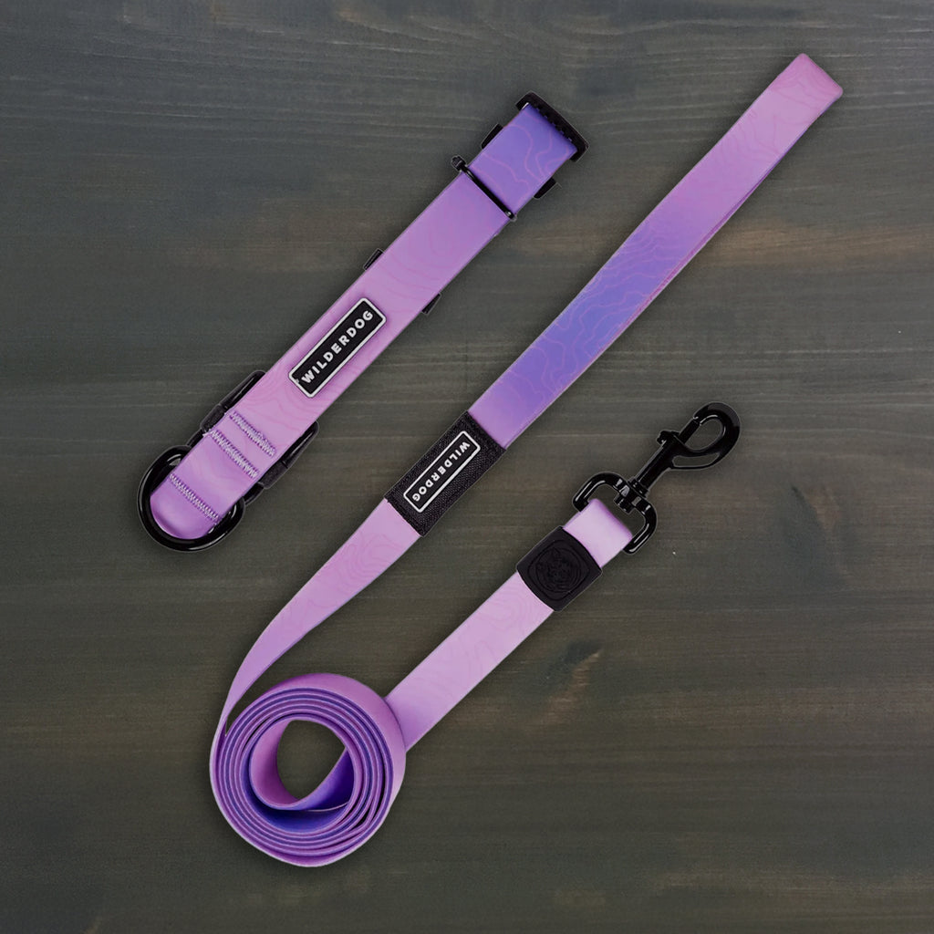 Aurora Waterproof Leash + Collar Bundle
