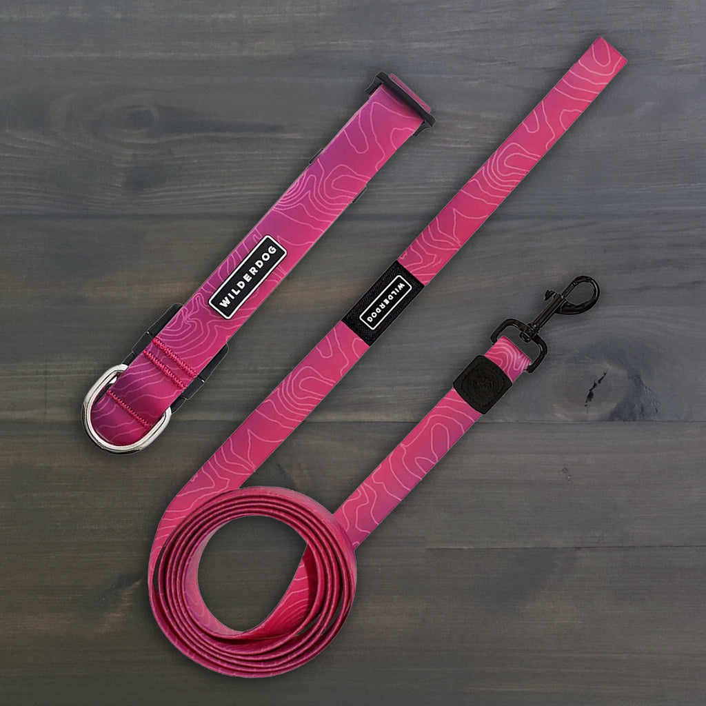 Waterproof Leash + Collar Bundle