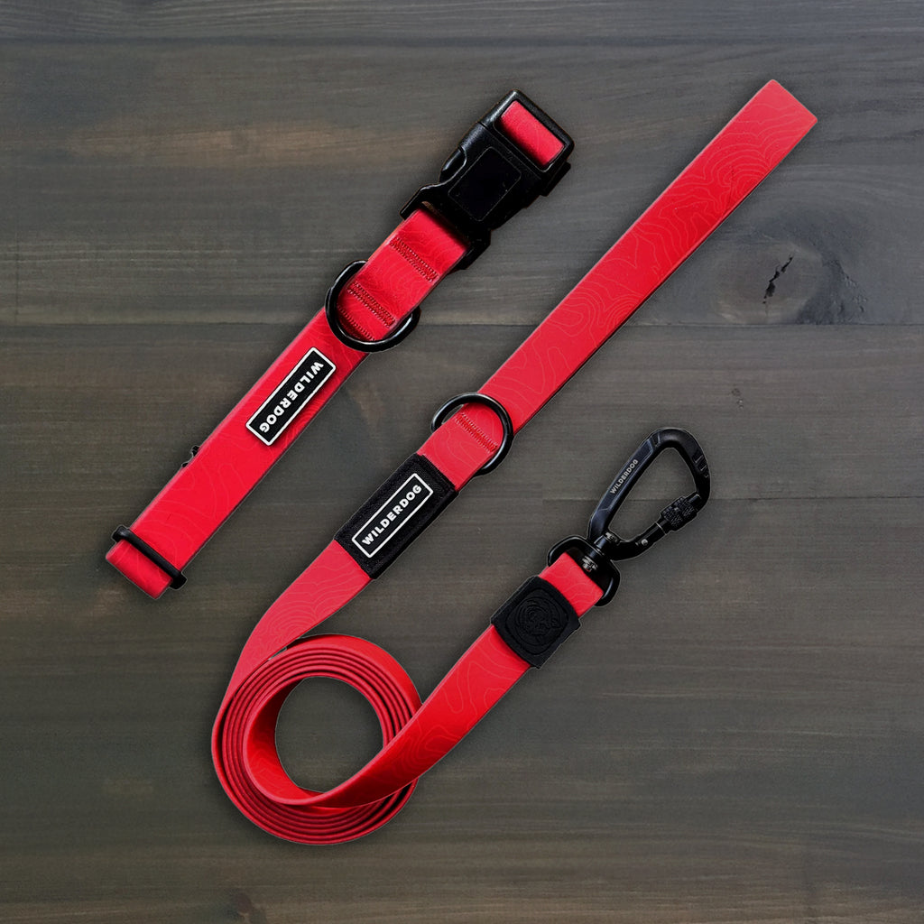 Waterproof Pro Leash + Collar Bundle