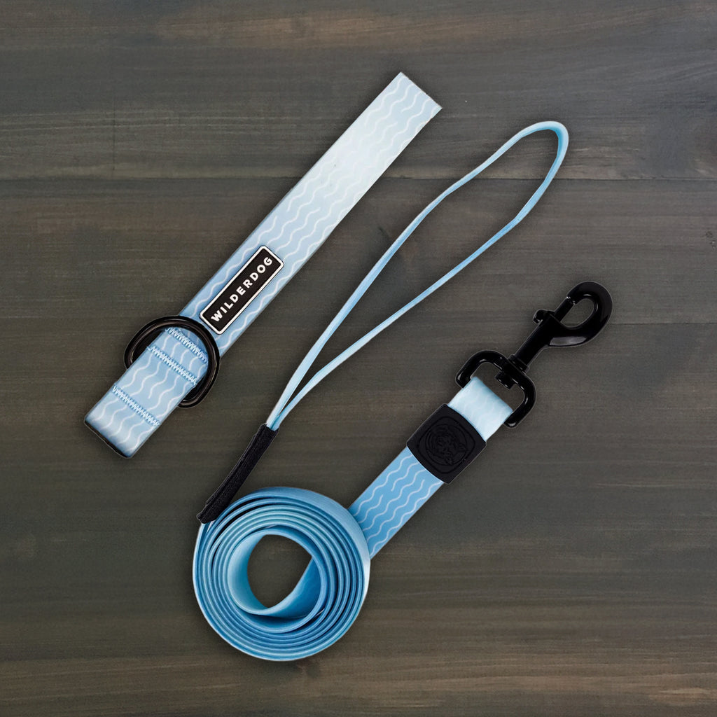 Saltwater Waterproof Leash + Collar Bundle