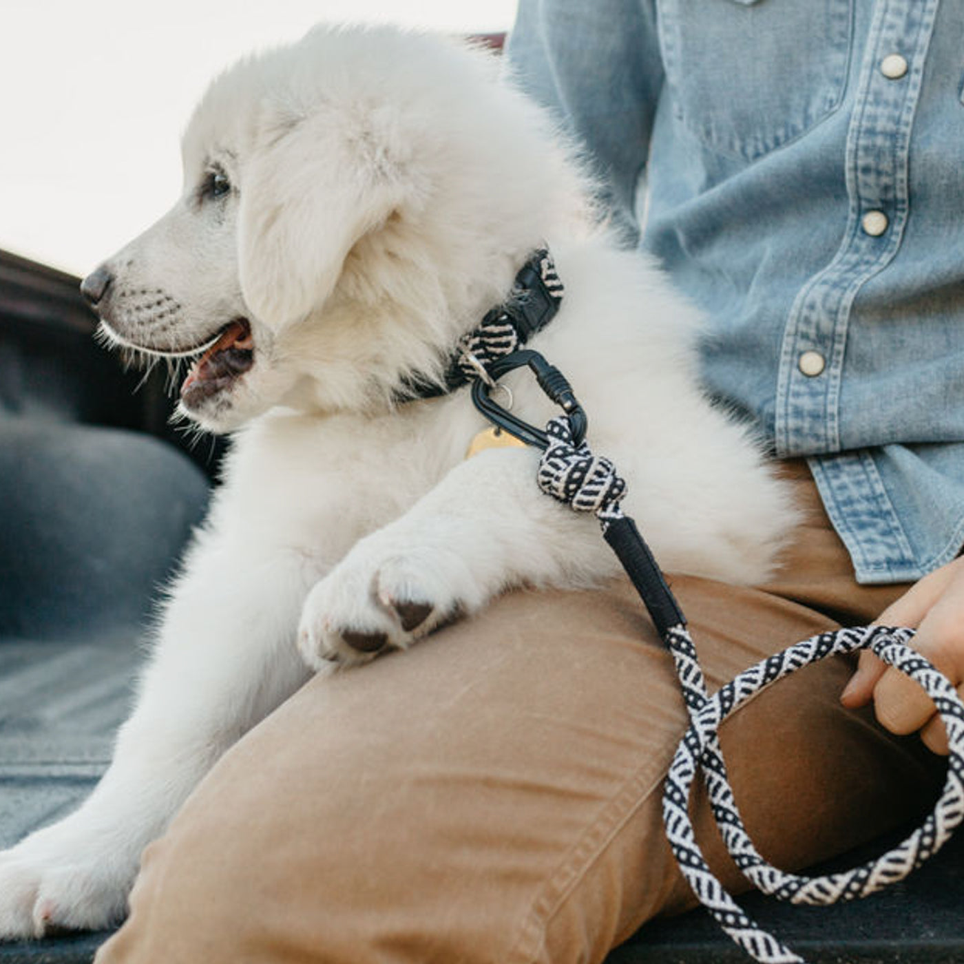 Black and White Small Carabiner Leash