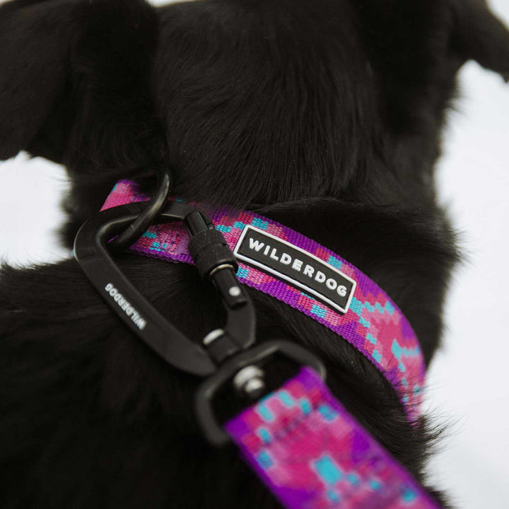 Lupin Ultralight Leash – Wilderdog