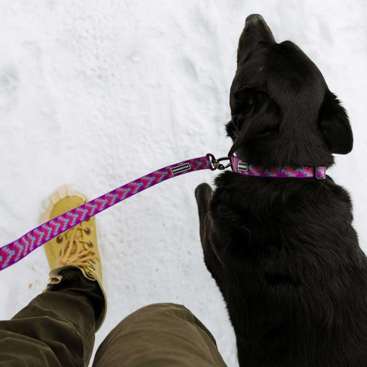 Lupin Ultralight Leash – Wilderdog