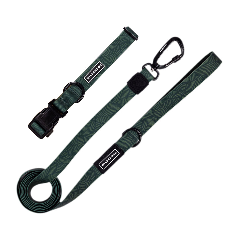 leash collar bundle cedar on a white background; Brian Walker product photograph