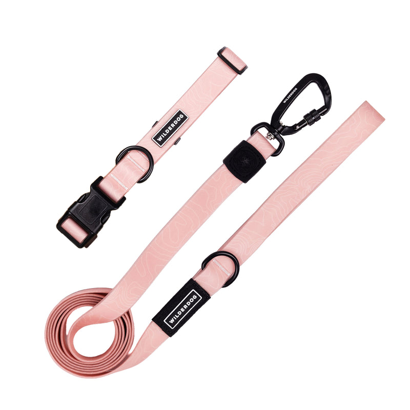 leash collar bundle guava on a white background; Brian Walker product photograph