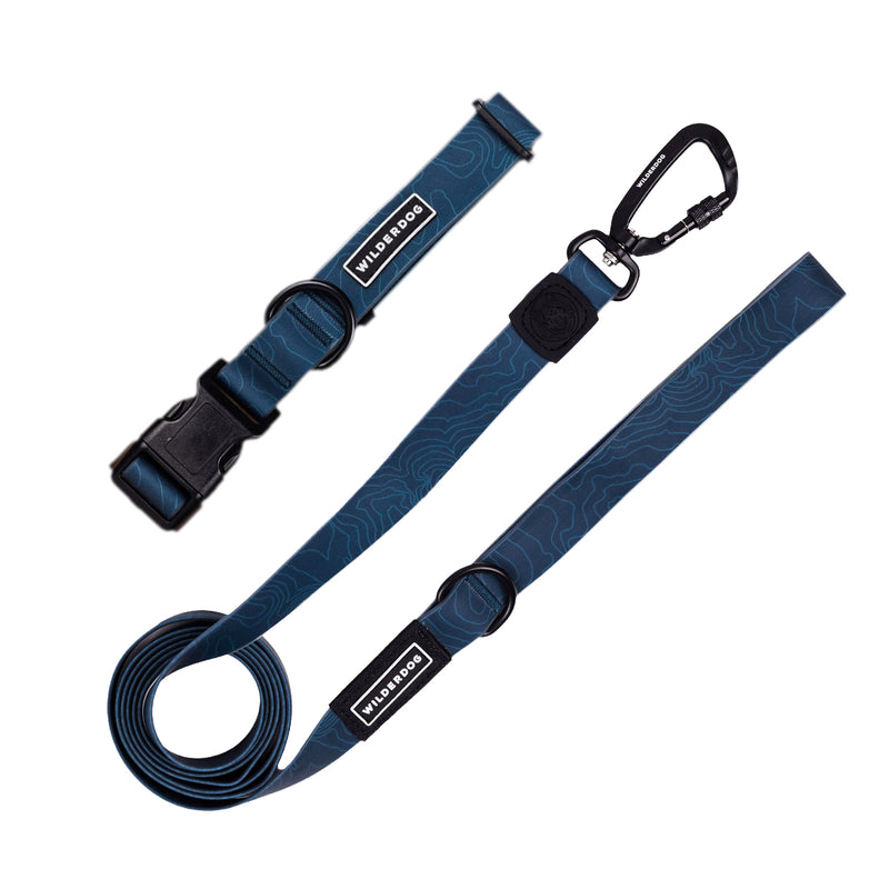 leash collar bundle pacific blue on a white background; Brian Walker product photograph
