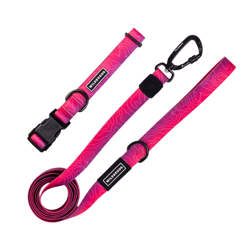 leash collar bundle plum on a white background; Brian Walker product photograph