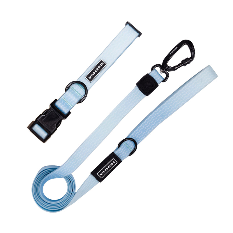 leash collar bundle saltwater on a white background; Brian Walker product photograph