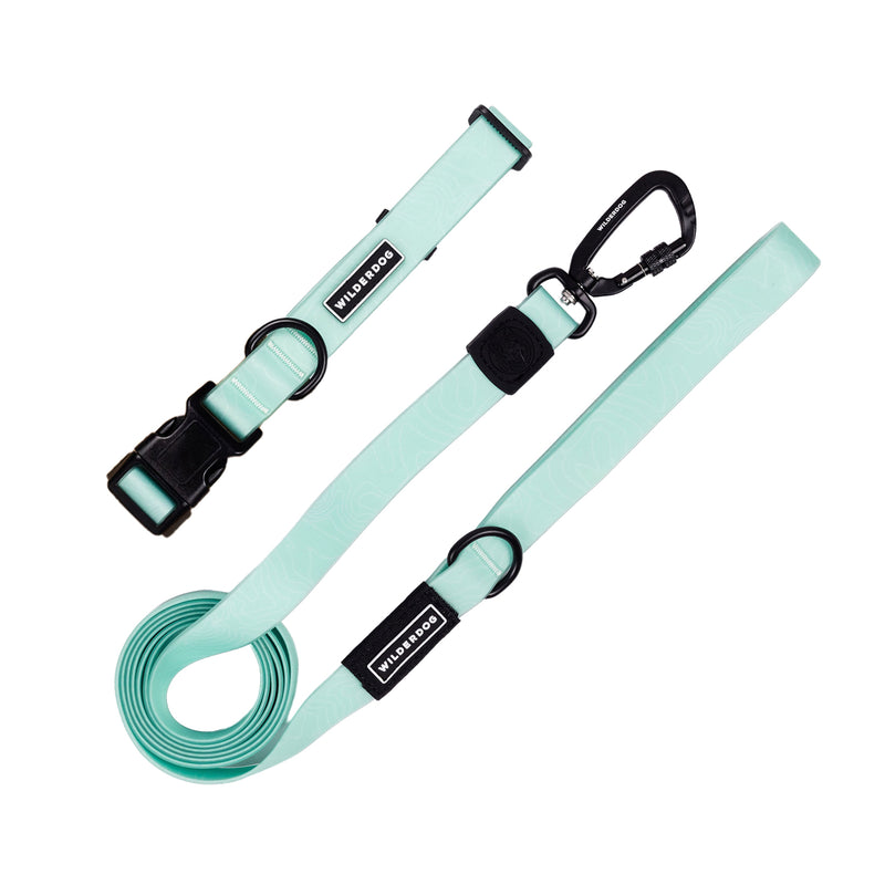 leash collar bundle seafoam on a white background; Brian Walker product photograph