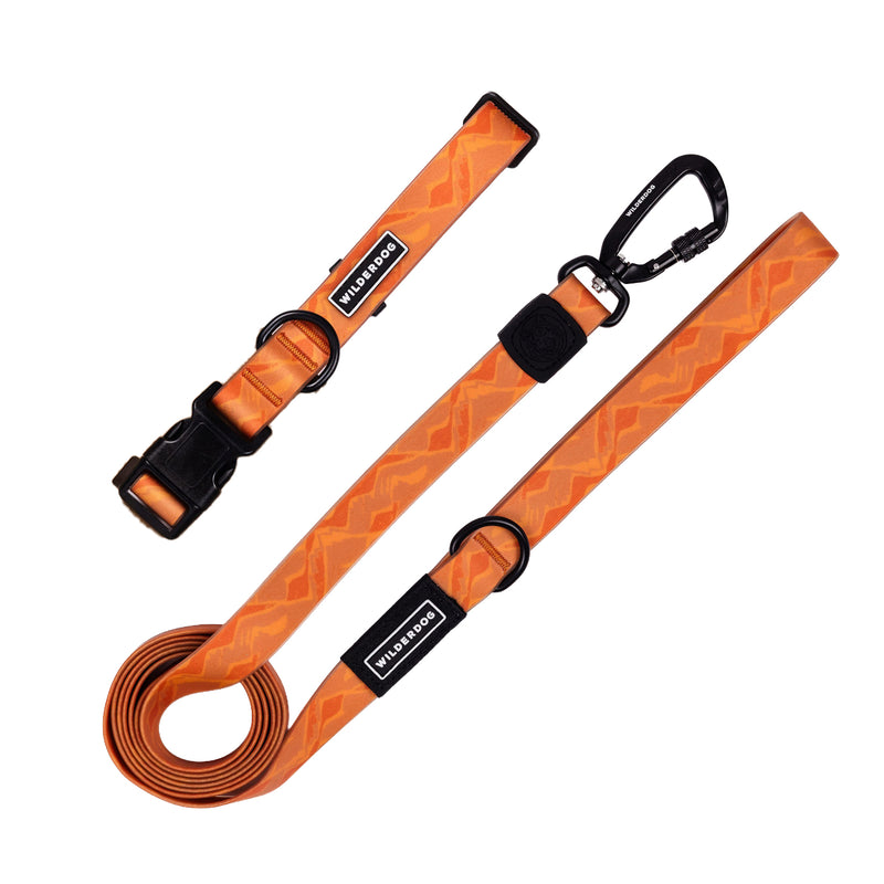 leash collar bundle terracotta on a white background; Brian Walker product photograph