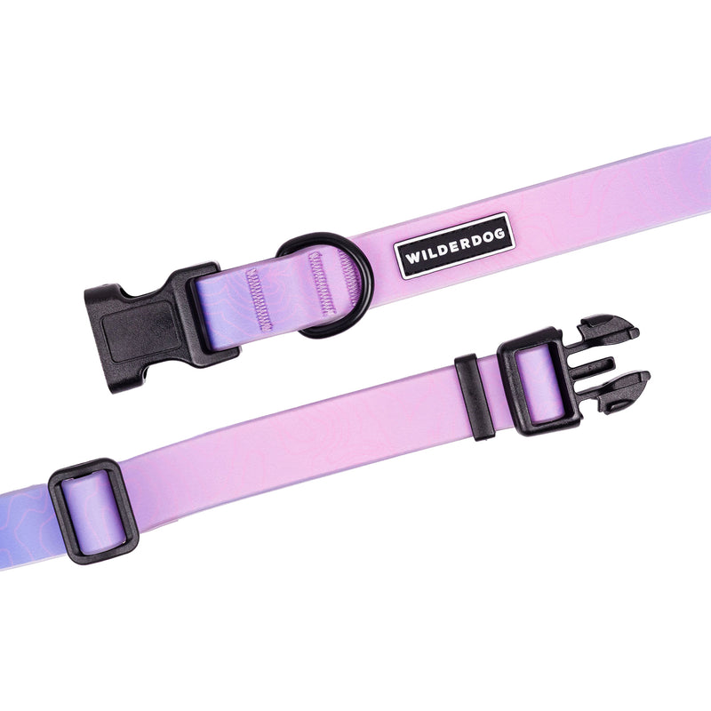 aurora waterproof collar on a white background; Brian Walker product photograph