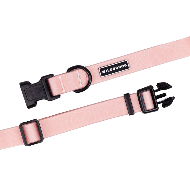guava waterproof collar on a white background; Brian Walker product photograph