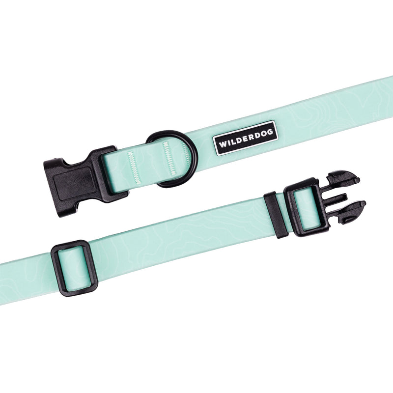 seafoam waterproof collar on a white background; Brian Walker product photograph