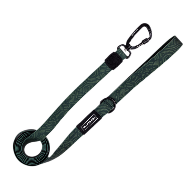 cedar waterproof leash on a white background; Brian Walker product photograph