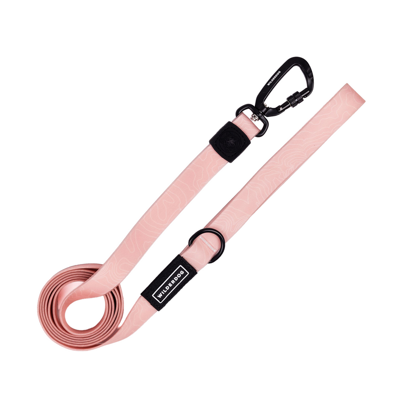 guava waterproof leash on a white background; Brian Walker product photograph