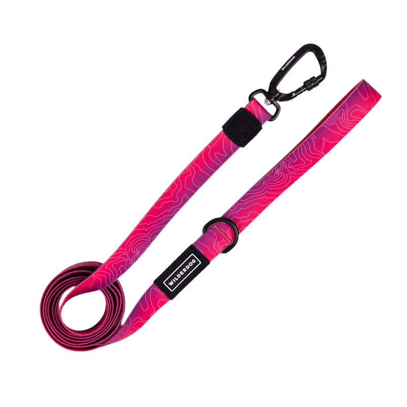 plum waterproof leash on a white background; Brian Walker product photograph