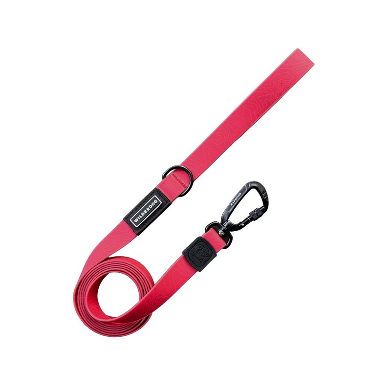 red waterproof leash on a white background; Brian Walker product photograph