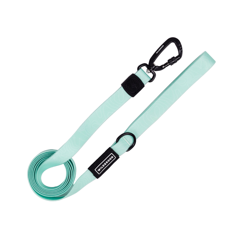 seafoam waterproof leash on a white background; Brian Walker product photograph