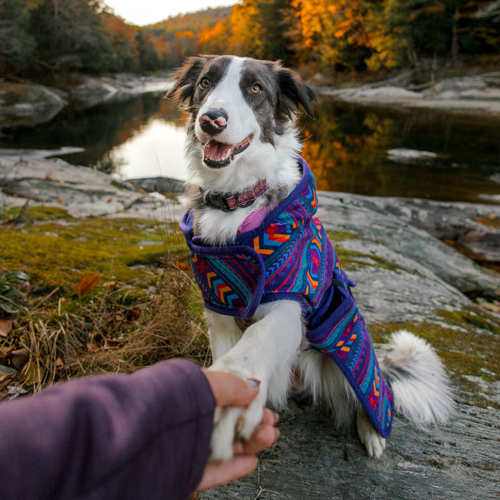 bigdog　ジャケット&ニットセット Big Sky Fleece Jacket – Wilderdog