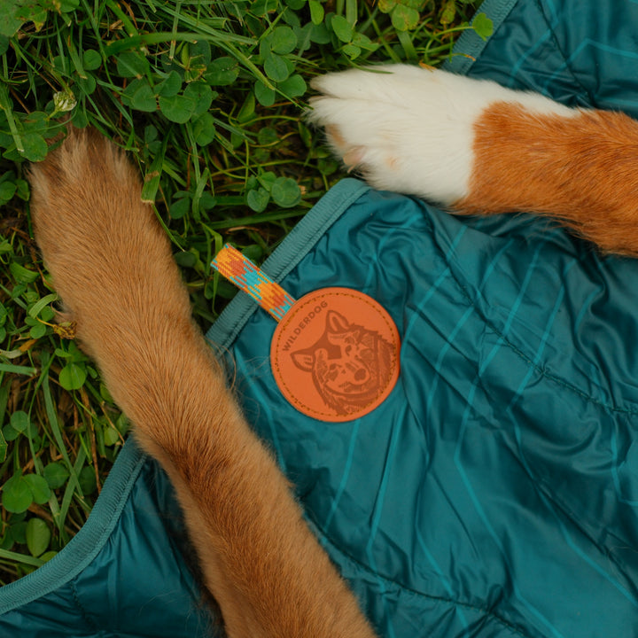 picnic-blanket-5_720x.jpg?v=