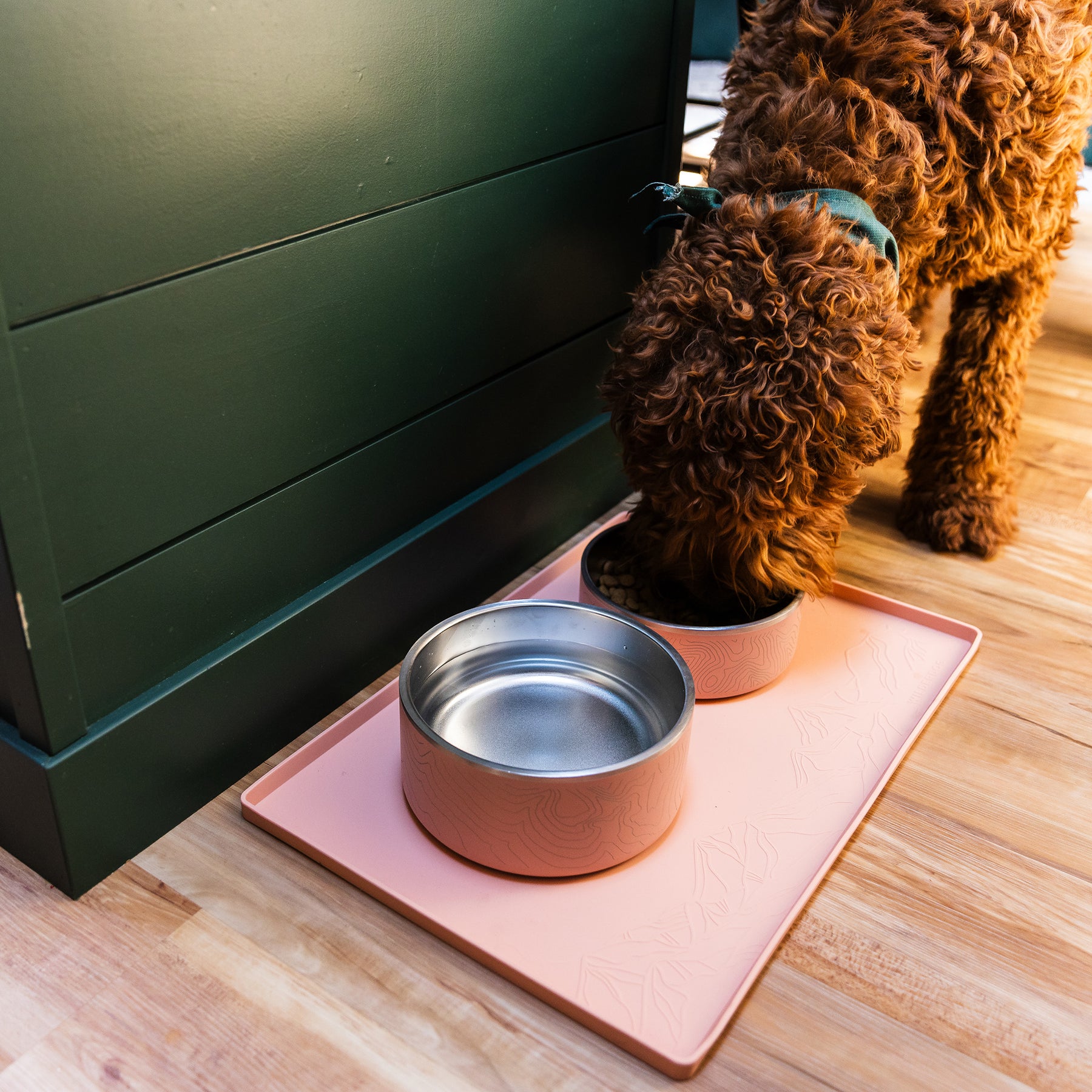 Placemat - Silicone Chocolate - Dog Dish