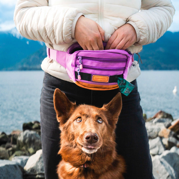 dog walking fanny pack lululemon Utility Pack – Wilderdog