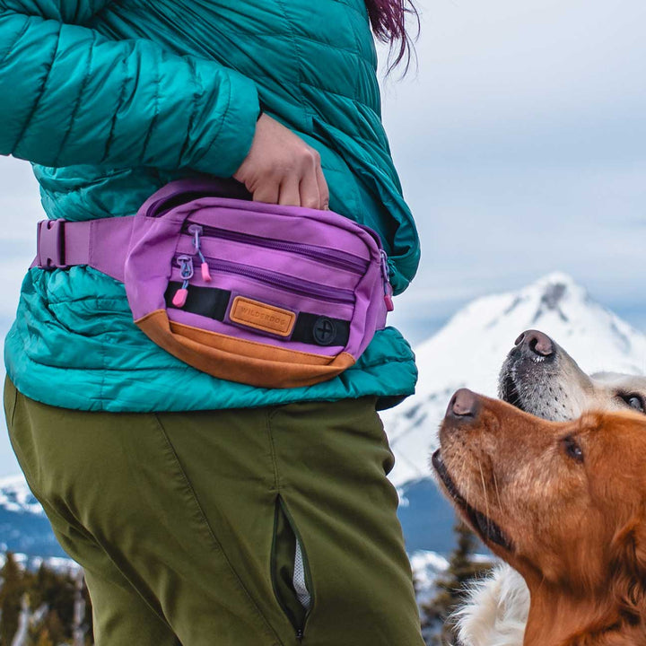 dog walking fanny pack lululemon Wilderdog Utility Pack Evergreen