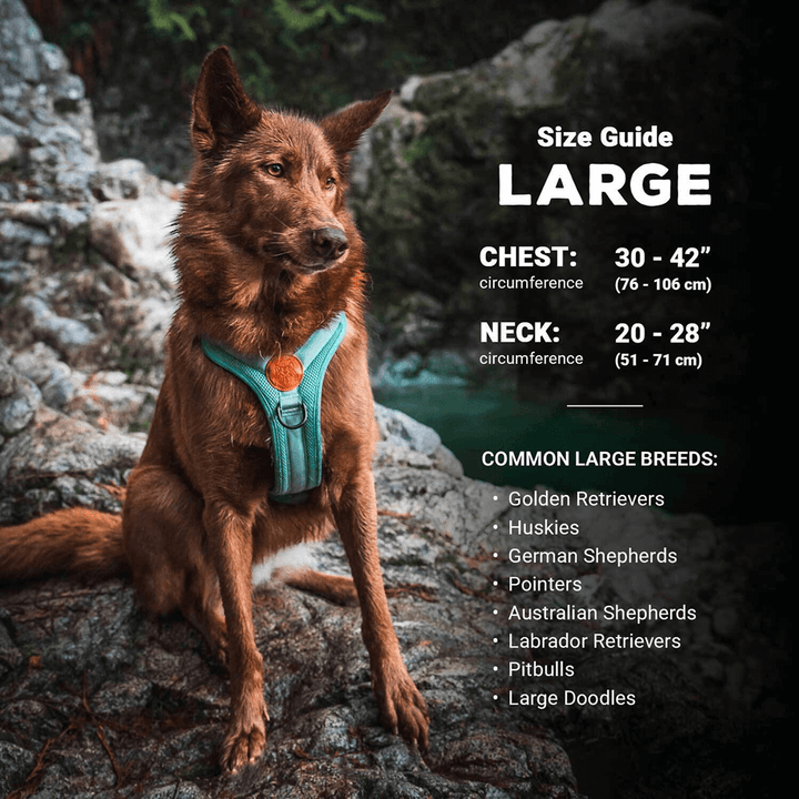 Dog Harness – Wilderdog