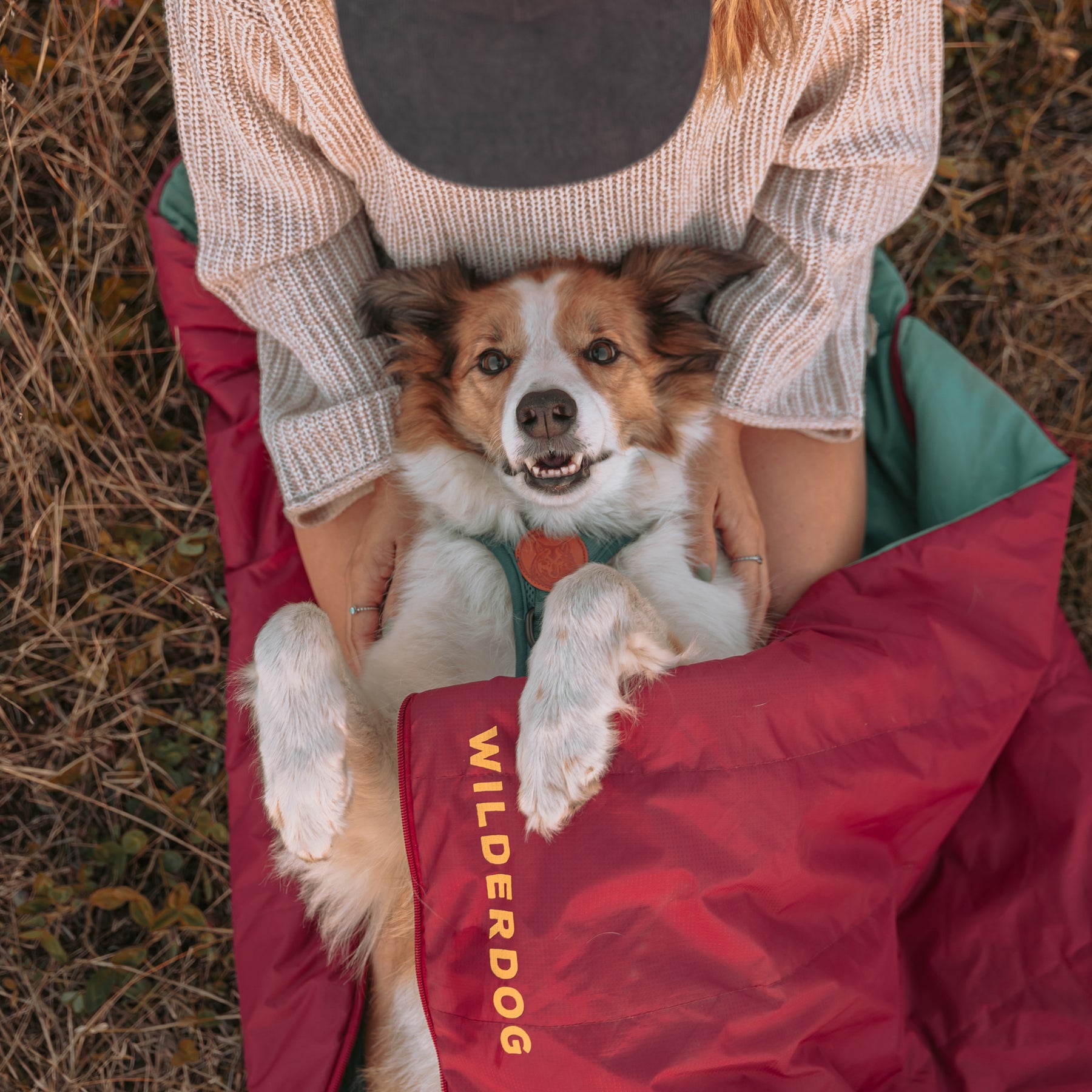 Sleeping Bag - Main Image