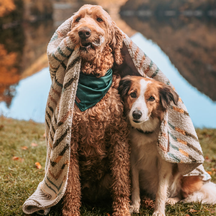 Sherpa Fleece Waterproof Blanket – Wilderdog