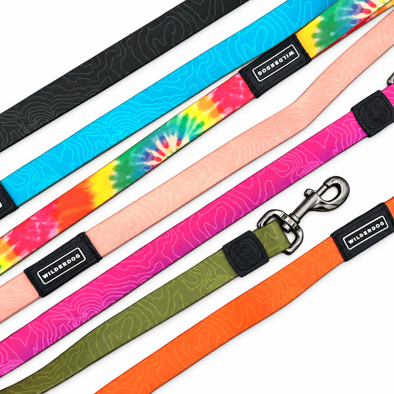 Five (Used) Waterproof Leashes in PVC-coated polyester are arranged diagonally on a white background.