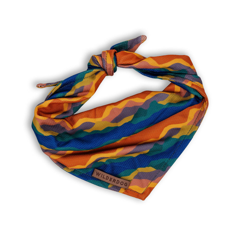 Canyon Bandana