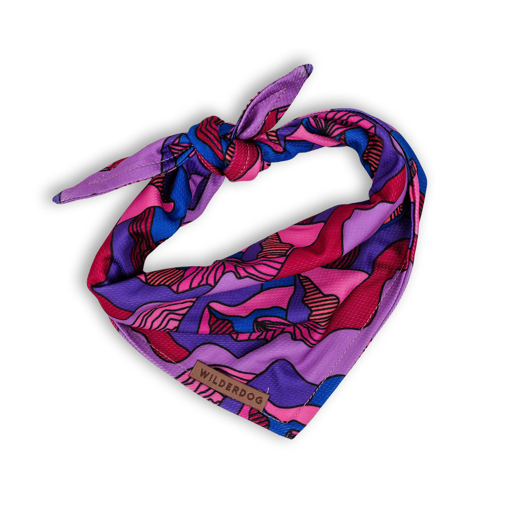 Summit Bandana