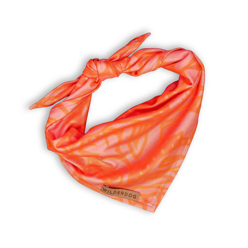 Papaya Bandana: Orange-pink lightweight polyester, knot tie, “Wilderdog” label—stylish, cooling dog accessory.