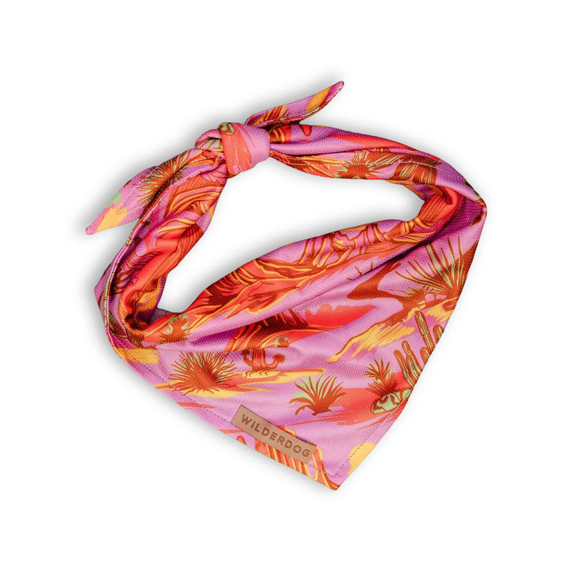 Laramie Bandana: pink and orange, quick-dry dog bandana with desert plants, tied in a knot on white background.