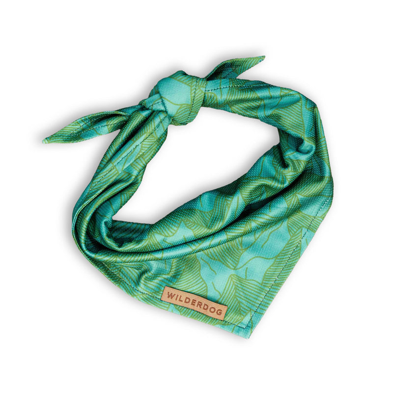 Juniper Bandana: green patterned, knotted dog bandana with “Wilderdog” label; lightweight and stylish accessory.