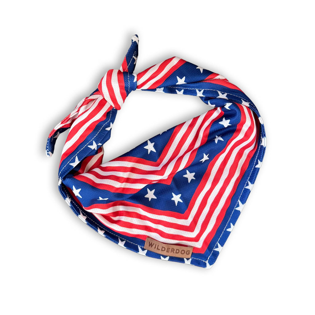 Americana Bandana