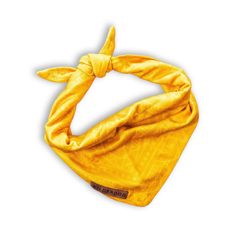 The Mustard Bandana is a bright yellow, quick-dry accessory with a knot—perfect for your adventurous pup.