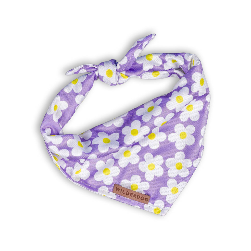 Daisy Bandana
